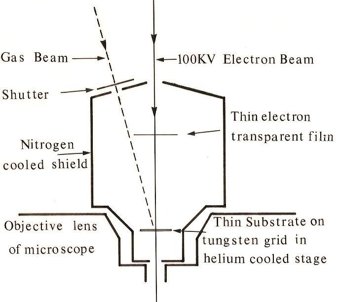 TEM-1 012.jpg